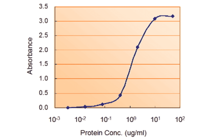 ELISA - Anti-AMPK alpha 2 Antibody (A320088) - Antibodies.com