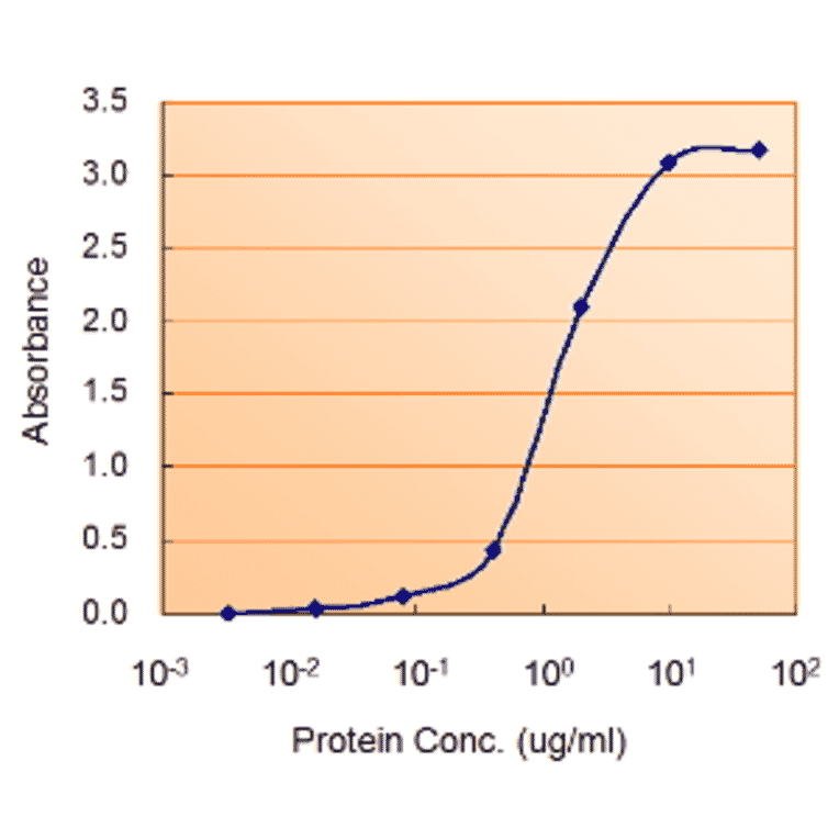 ELISA - Anti-AMPK alpha 2 Antibody (A320088) - Antibodies.com