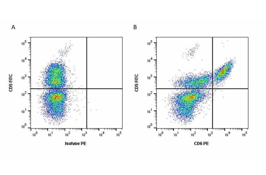 Flow Cytometry - Anti-CD6 / T12 Antibody [a38b2] (PE) (A320260) - Antibodies.com