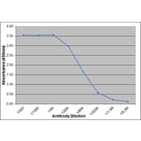 ELISA - Recombinant Chicken IL-6 Protein (A320345) - Antibodies.com
