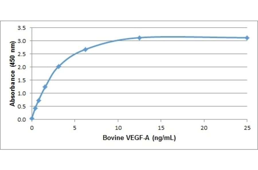 ELISA - Recombinant Bovine VEGFA Protein (A320364) - Antibodies.com