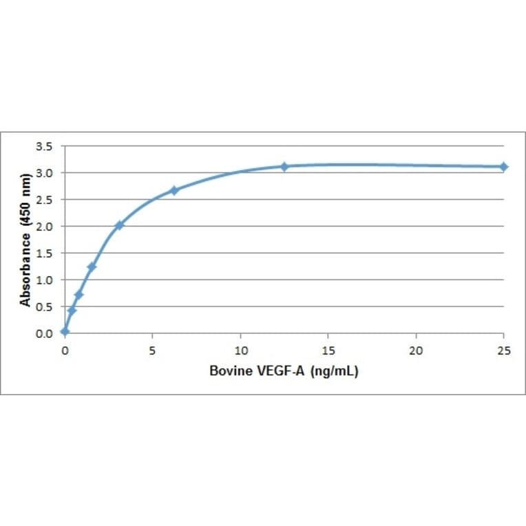 ELISA - Recombinant Bovine VEGFA Protein (A320364) - Antibodies.com