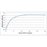 ELISA - Recombinant Bovine VEGFA Protein (A320364) - Antibodies.com