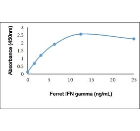 ELISA - Recombinant Ferret Interferon gamma Protein (A320397) - Antibodies.com
