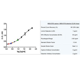 ELISA - Native Human Thyroglobulin Protein (A320456) - Antibodies.com
