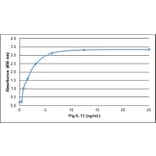 ELISA - Recombinant Porcine IL-13 Protein (A320538) - Antibodies.com