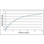 ELISA - Recombinant Porcine VEGFA Protein (A320542) - Antibodies.com