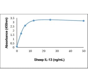 ELISA - Recombinant Sheep IL-13 Protein (A320573) - Antibodies.com