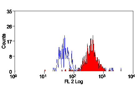 Flow Cytometry - Streptavidin (PE) (A320592) - Antibodies.com