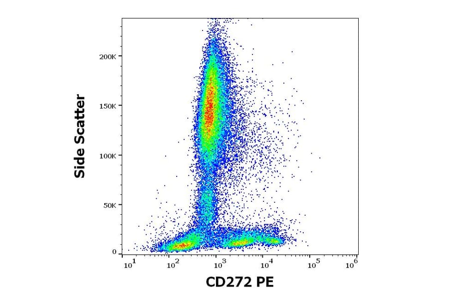 Flow Cytometry - Anti-CD272/BTLA Antibody [MIH26] (PE) (A320641)