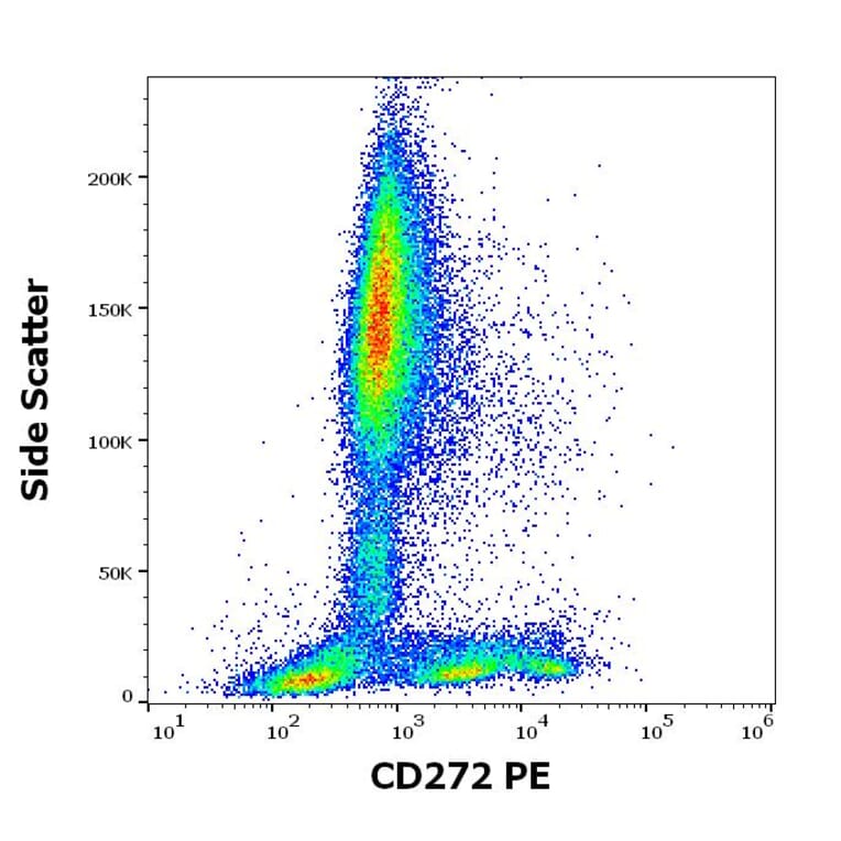 Flow Cytometry - Anti-CD272/BTLA Antibody [MIH26] (PE) (A320641)