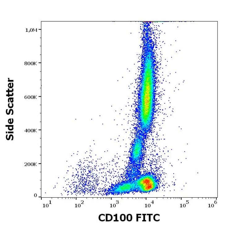 Flow Cytometry - Anti-Semaphorin 4D/CD100 Antibody [133-1C6] (FITC) (A320646)