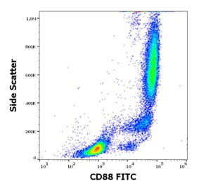 Flow Cytometry - Anti-C5a-R Antibody [S5/1] (FITC) (A320649)