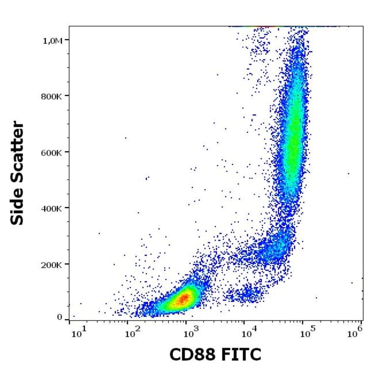 Flow Cytometry - Anti-C5a-R Antibody [S5/1] (FITC) (A320649)