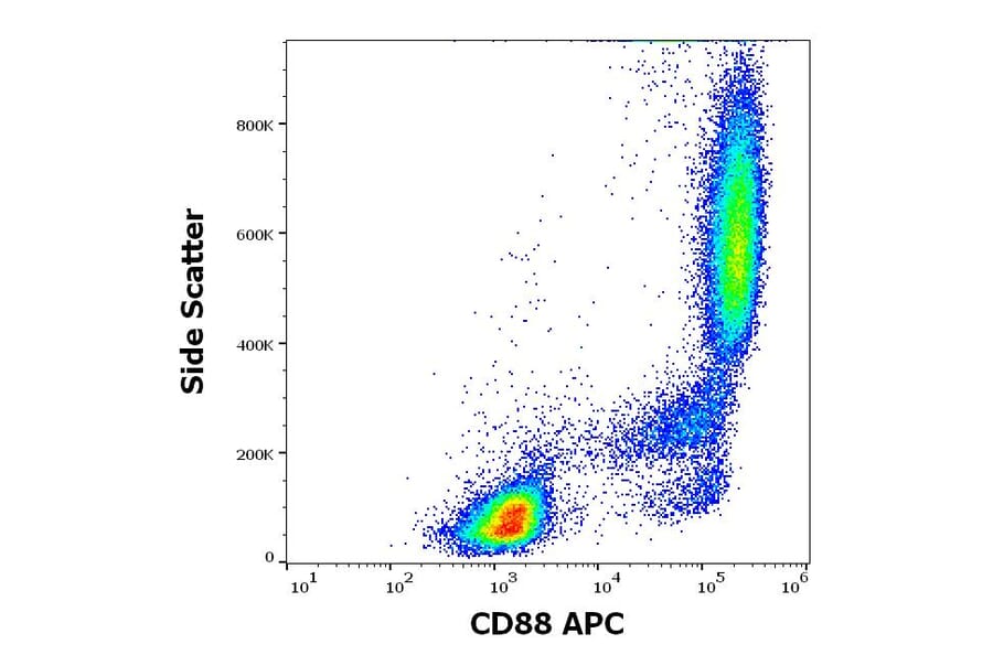 Flow Cytometry - Anti-C5a-R Antibody [S5/1] (APC) (A320650)