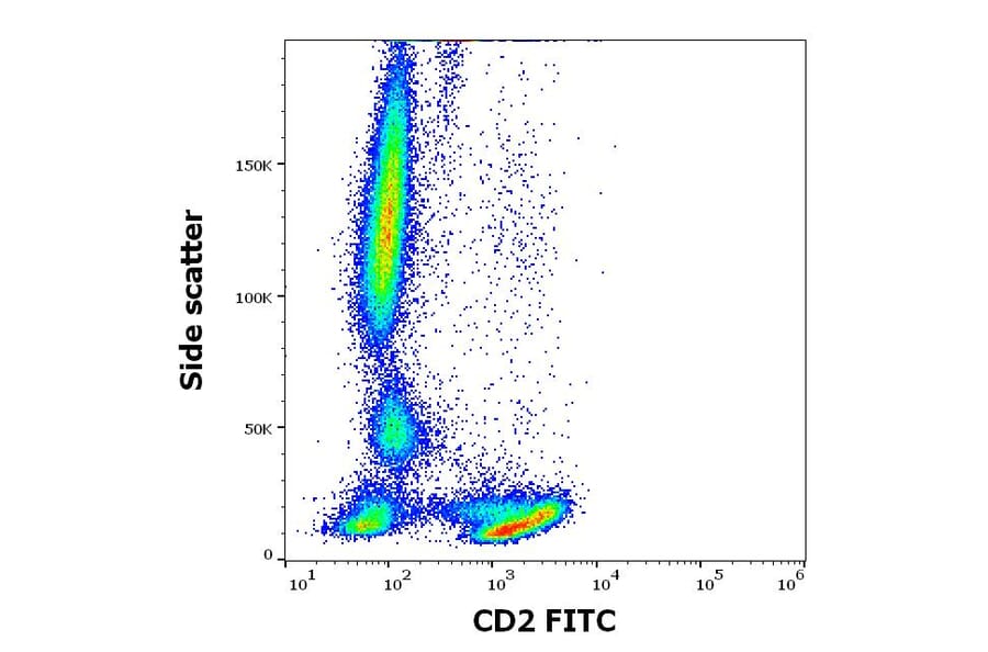 Flow Cytometry - Anti-CD2 Antibody [TS1/8] (FITC) (A320651)