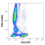 Flow Cytometry - Anti-CD2 Antibody [TS1/8] (FITC) (A320651)