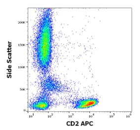 Flow Cytometry - Anti-CD2 Antibody [TS1/8] (APC) (A320652)