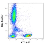 Flow Cytometry - Anti-CD2 Antibody [TS1/8] (APC) (A320652)