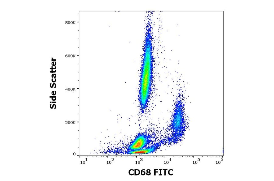 Flow Cytometry - Anti-CD68 Antibody [Y1/82A] (FITC) (A320653)
