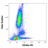 Flow Cytometry - Anti-Integrin alpha 1 Antibody [TS2/7] (PE) (A320654)