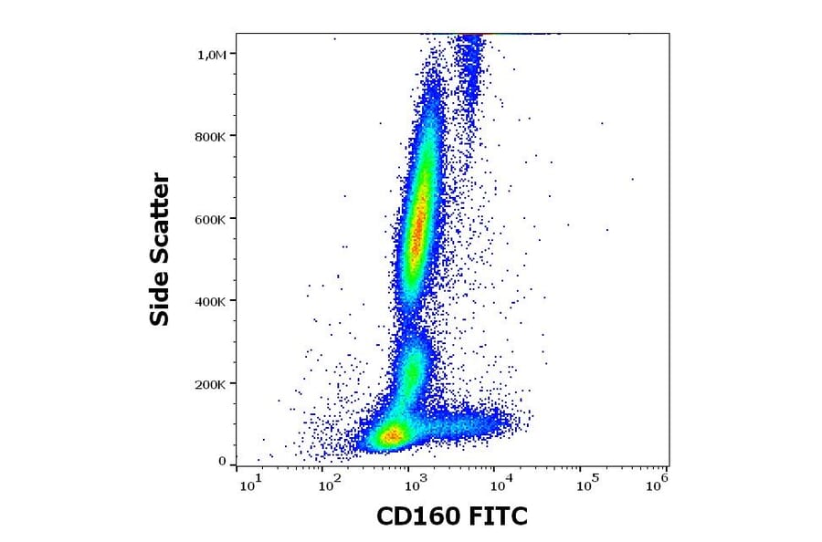 Flow Cytometry - Anti-CD160 Antibody [BY55] (FITC) (A320660)