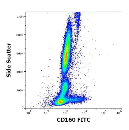 Flow Cytometry - Anti-CD160 Antibody [BY55] (FITC) (A320660)
