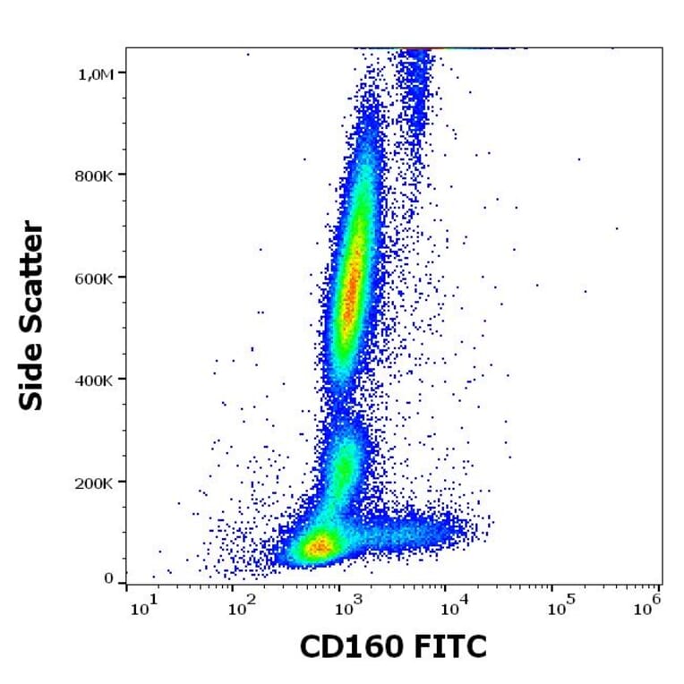 Flow Cytometry - Anti-CD160 Antibody [BY55] (FITC) (A320660)