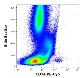 Flow Cytometry - Anti-CD34 Antibody [4H11[APG]] (PE-Cyanine 5) (A320663)