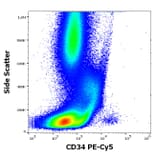 Flow Cytometry - Anti-CD34 Antibody [4H11[APG]] (PE-Cyanine 5) (A320663)