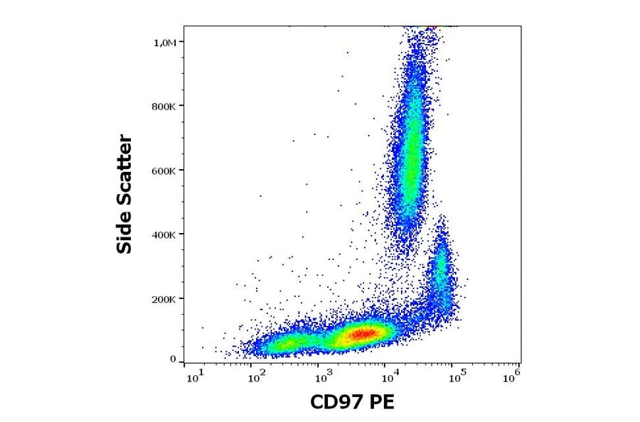 Flow Cytometry - Anti-CD97 Antibody [MEM-180] (PE) (A320666)