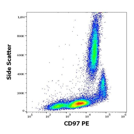 Flow Cytometry - Anti-CD97 Antibody [MEM-180] (PE) (A320666)