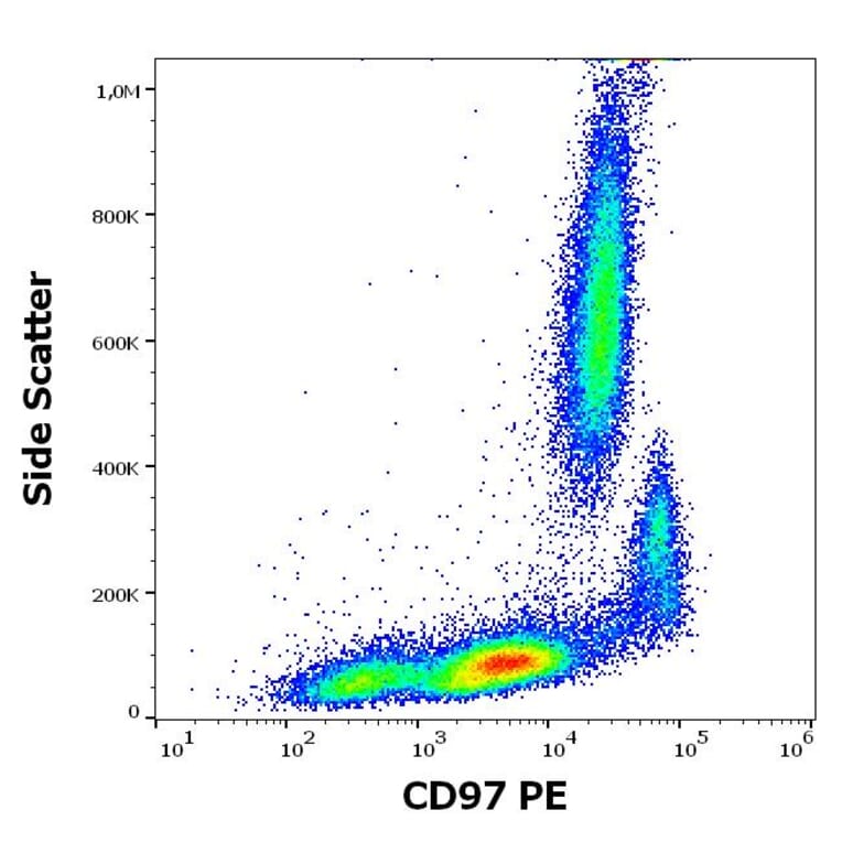 Flow Cytometry - Anti-CD97 Antibody [MEM-180] (PE) (A320666)