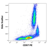 Flow Cytometry - Anti-CD97 Antibody [MEM-180] (PE) (A320666)