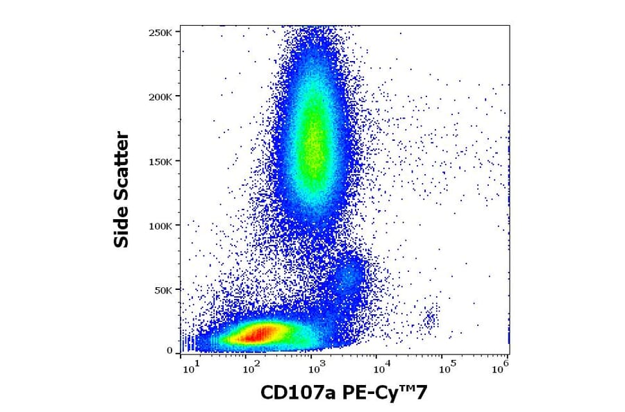 Flow Cytometry - Anti-LAMP1 Antibody [H4A3] (PE-Cyanine 7) (A320669)