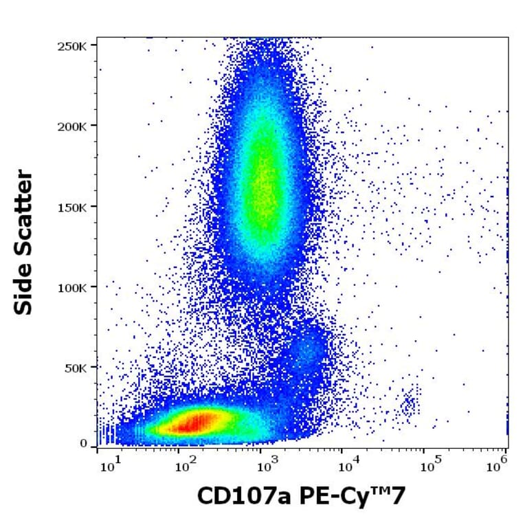 Flow Cytometry - Anti-LAMP1 Antibody [H4A3] (PE-Cyanine 7) (A320669)