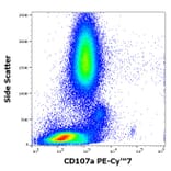 Flow Cytometry - Anti-LAMP1 Antibody [H4A3] (PE-Cyanine 7) (A320669)