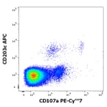 Flow Cytometry - Anti-LAMP1 Antibody [H4A3] (PE-Cyanine 7) (A320669)