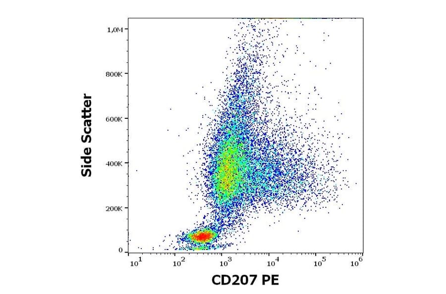 Flow Cytometry - Anti-Langerin Antibody [2G3] (PE) (A320670)