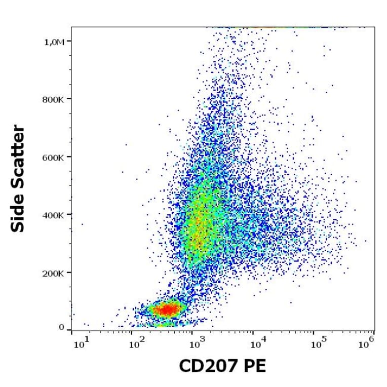 Flow Cytometry - Anti-Langerin Antibody [2G3] (PE) (A320670)
