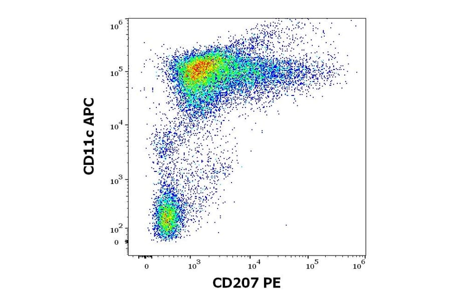 Flow Cytometry - Anti-Langerin Antibody [2G3] (PE) (A320670)