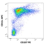 Flow Cytometry - Anti-Langerin Antibody [2G3] (PE) (A320670)