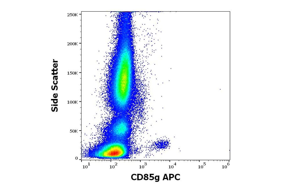 Flow Cytometry - Anti-ILT-7 Antibody [17G10.2] (APC) (A320679)