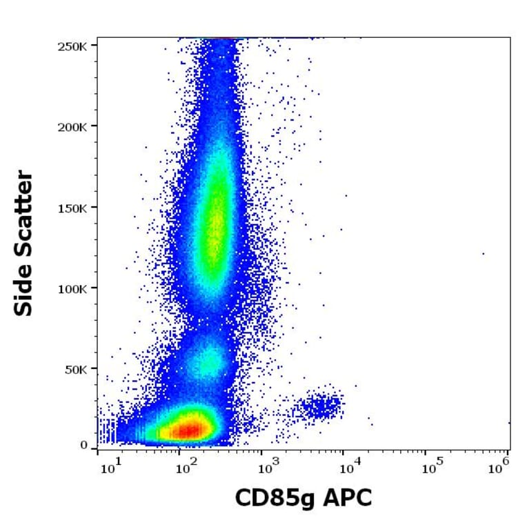 Flow Cytometry - Anti-ILT-7 Antibody [17G10.2] (APC) (A320679)