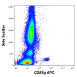 Flow Cytometry - Anti-ILT-7 Antibody [17G10.2] (APC) (A320679)