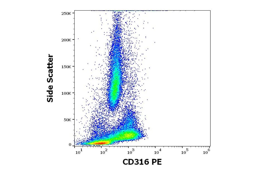 Flow Cytometry - Anti-IGSF8 Antibody [8A12] (PE) (A320680)