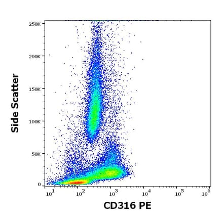 Flow Cytometry - Anti-IGSF8 Antibody [8A12] (PE) (A320680)