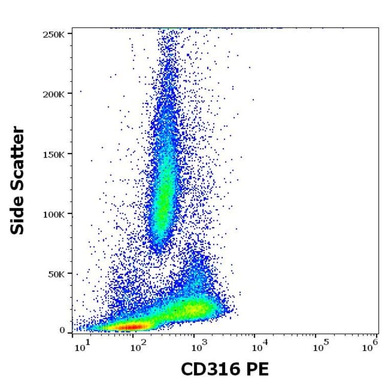 Flow Cytometry - Anti-IGSF8 Antibody [8A12] (PE) (A320680)