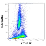 Flow Cytometry - Anti-IGSF8 Antibody [8A12] (PE) (A320680)