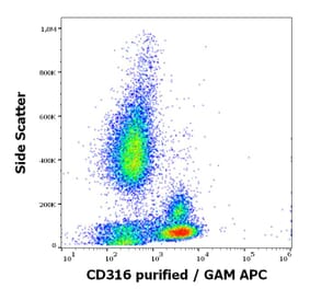 Flow Cytometry - Anti-IGSF8 Antibody [8A12] (A320681)